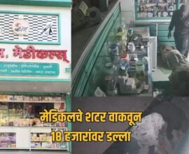 Jalgaon Medical Shop Theft