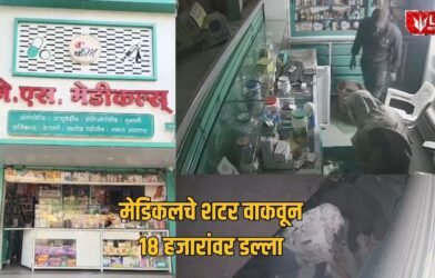 Jalgaon Medical Shop Theft