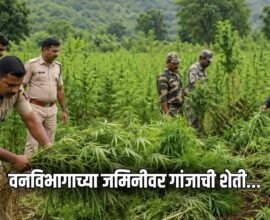 Shirpur Ganja Farming