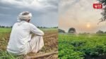 Maharashtra Drought 2026