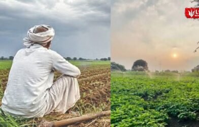 Maharashtra Drought 2026