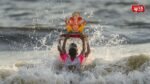Jalgaon Ganpati Visarjan 2026