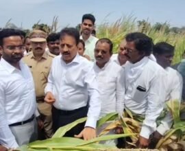 Maharashtra Drought Relief