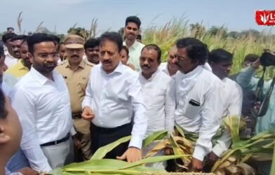 Maharashtra Drought Relief
