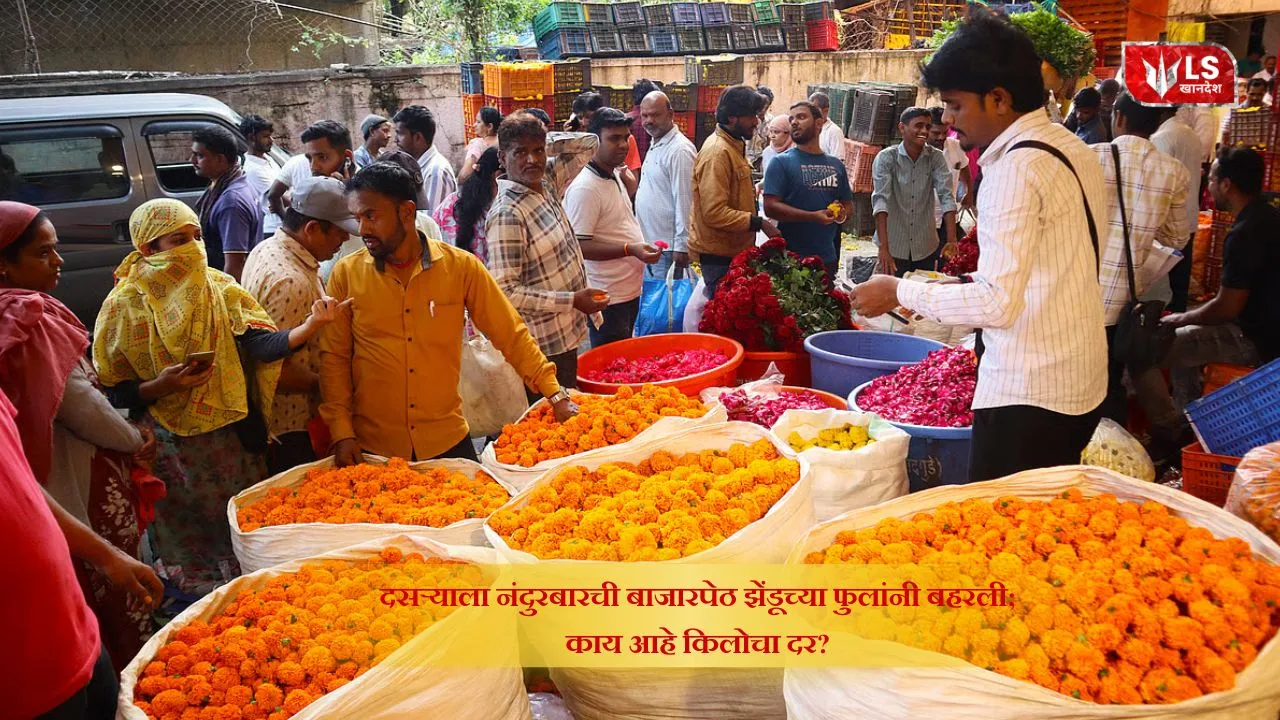 Marigold Flower Price