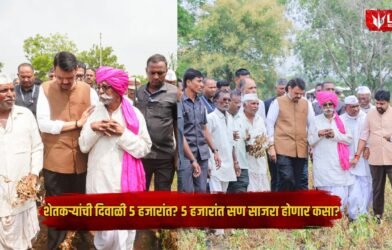 Farmer Relief Maharashtra