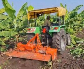 Nandurbar farmer