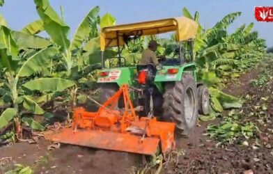 Nandurbar farmer