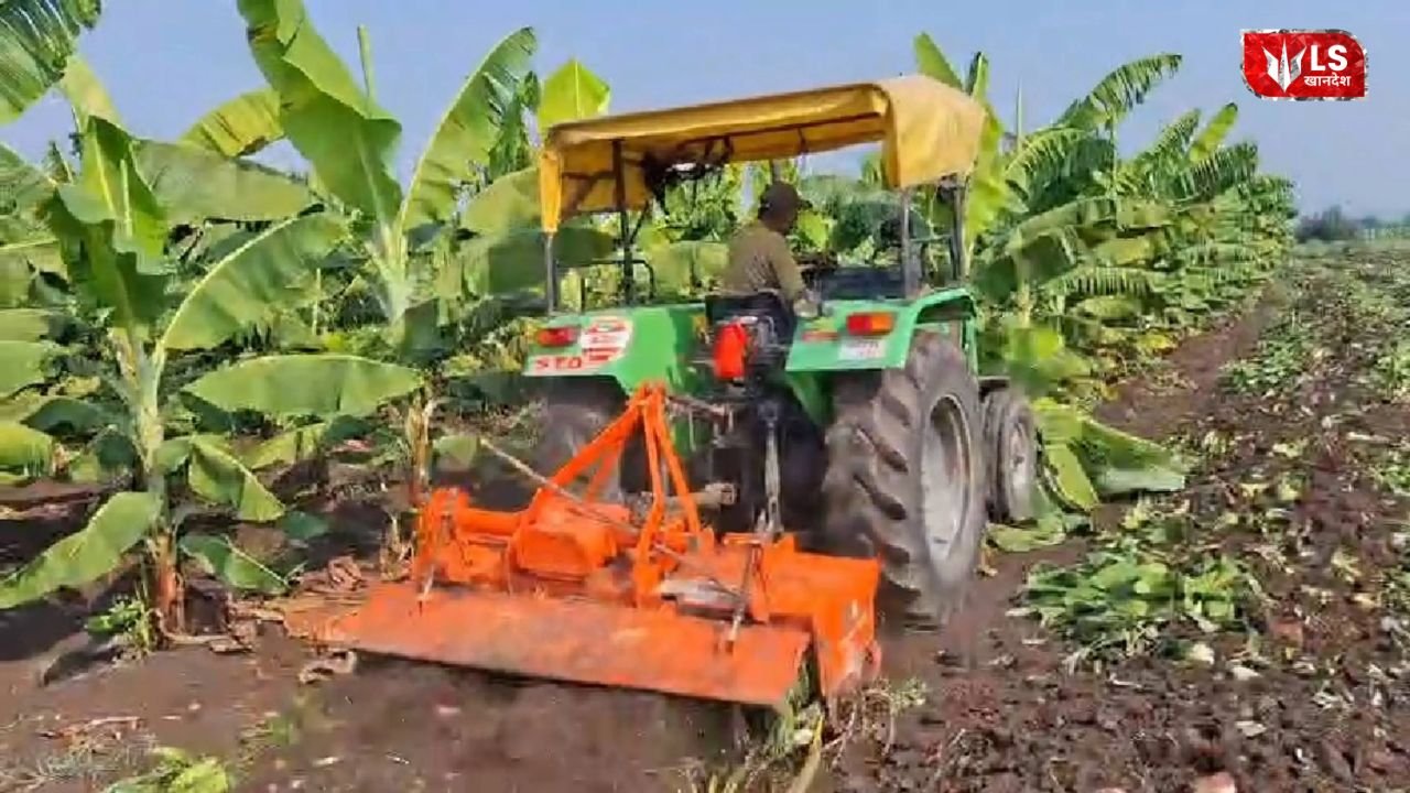 Nandurbar farmer
